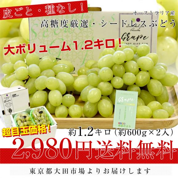 皮ごと食べられる！高糖度！シードレスぶどう オーストラリア産 約1.2キロ（約600g×2入）送料無料 種なしぶどう 輸入ぶどう 海外ぶどう03