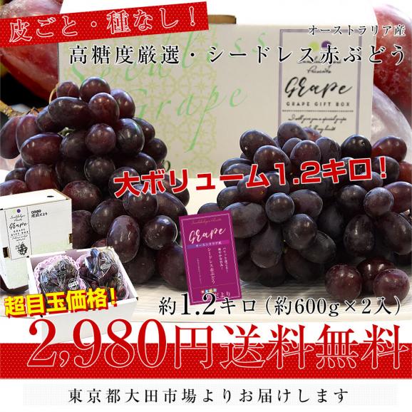 皮ごと食べられる！豊かな甘み！シードレス赤ぶどう オーストラリア産 約1.2キロ（約600g×2入）送料無料 種なしぶどう 輸入ぶどう 海外ぶどう03