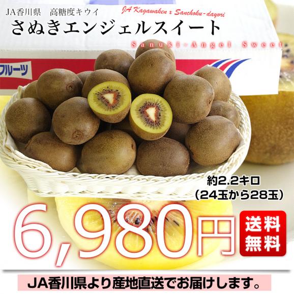 香川県より産地直送 JA香川県 キウイフルーツ さぬきエンジェルスイート 約2.2キロ (24玉から28玉) キウイフルーツ 送料無料03