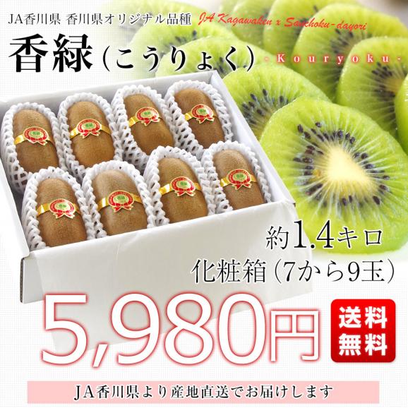 送料無料 香川県より産地直送 JA香川県 キウイフルーツ 香緑(こうりょく) 　約1.4キロ化粧箱 　(7玉から9玉前後)　お歳暮　御歳暮03