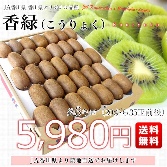 香川県より産地直送 JA香川県 キウイフルーツ 香緑(こうりょく) 　約3キロ　(20玉から35玉前後) 送料無料03