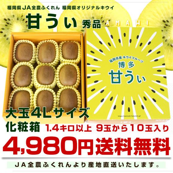 福岡県から産地直送 JA全農ふくれん 福岡オリジナルキウイ 甘うぃ（あまうぃ）秀品 1.4キロ以上　化粧箱（４Lサイズ9玉から10玉入り）送料無料 キウイフルーツ03