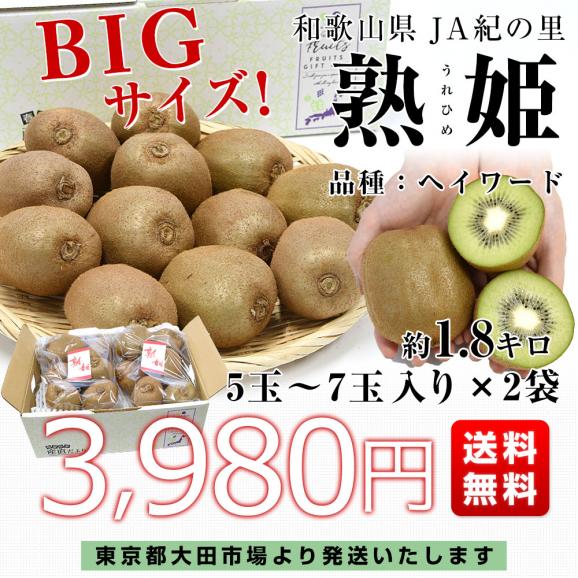 和歌山県産 JA紀の里 熟姫(うれひめ) 約1.8キロ(5玉から7玉入り×2袋) 送料無料 キウイフルーツ グリーンキウイ ヘイワード 市場発送03