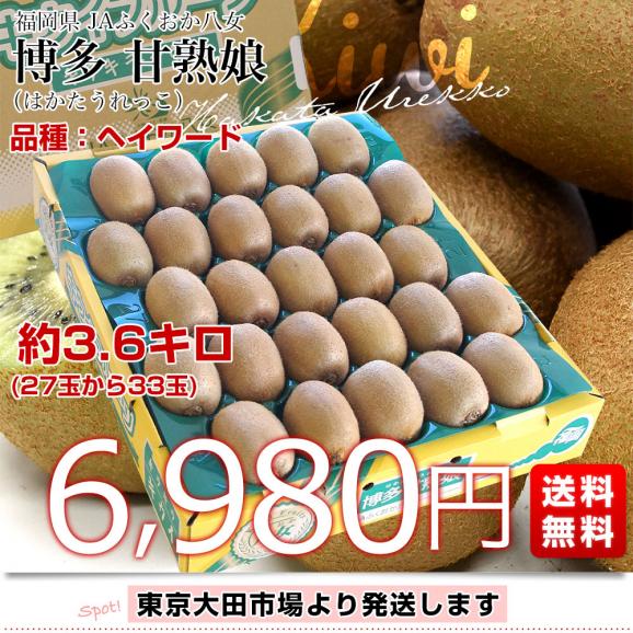 福岡県 JAふくおか八女 博多甘熟娘（はかたうれっこ）約3.6キロ(27玉から33玉) 送料無料 キウイ グリーンキウイ ヘイワード 市場発送03