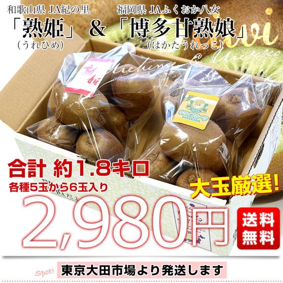 【キウイセット】和歌山県 JA紀の里「熟姫(うれひめ)」+福岡県 JAふくおか八女「博多甘熟娘(はかたうれっこ)」合計約1.8キロ（10玉から12玉）送料無料 市場発送 03