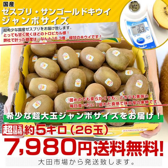 国産 ゼスプリ・サンゴールドキウイ「ジャンボサイズ」 約5キロ（26玉入り）　送料無料　キウイフルーツ03