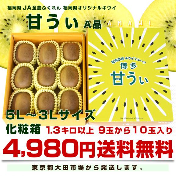 福岡県産JA全農ふくれん 福岡オリジナルキウイ 甘うぃ（あまうぃ）A品 1.3キロ以上　化粧箱（5Lから3Lサイズ9玉から10玉入り）送料無料 キウイフルーツ03