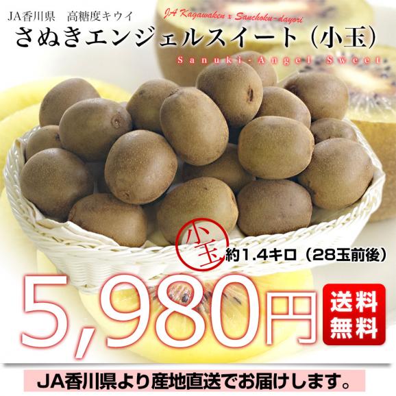 香川県より産地直送 JA香川県 キウイフルーツ さぬきエンジェルスイート小玉 約1.4キロ (28玉前後) キウイフルーツ 送料無料03