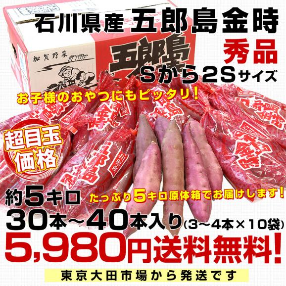 石川県産 JA金沢市 五郎島金時 秀品 Sから2Sサイズ 約5キロ 30本から40本入り 送料無料 さつまいも サツマイモ 薩摩芋 新芋 市場発送03