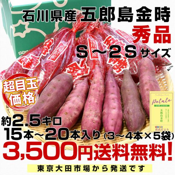 石川県産 JA金沢市 五郎島金時 秀品 Sから2Sサイズ 約2.5キロ 15本から20本入り 送料無料 さつまいも サツマイモ 薩摩芋 新芋 市場発送03