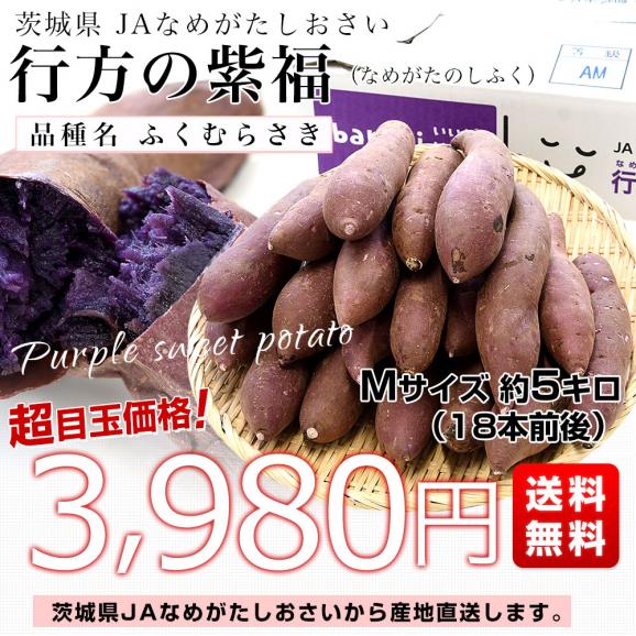 茨城県より産地直送 JAなめがたしおさい 行方の紫福（なめがたのしふく）品種名：ふくむらさき Mサイズ 約5キロ（18本前後） 送料無料 さつま芋 さつまいも サツマイモ 薩摩芋 紫芋 むらさき芋03