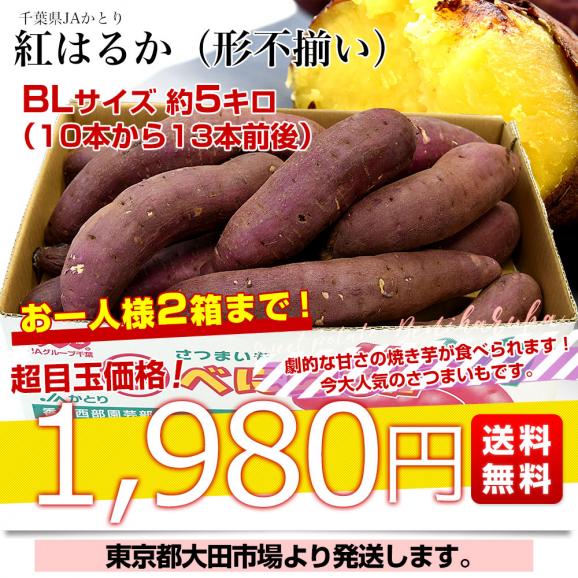 千葉県産 JAかとり 紅はるか BLサイズ 約5キロ 10本から13本前後（形不揃い） 送料無料 さつまいも サツマイモ 薩摩芋 新芋 市場発送03