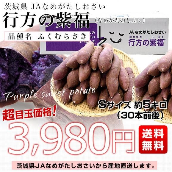 茨城県より産地直送 JAなめがたしおさい 行方の紫福（なめがたのしふく）品種名：ふくむらさき Ｓサイズ 約5キロ（30本前後） 送料無料 さつま芋 さつまいも サツマイモ 薩摩芋 紫芋 むらさき芋03
