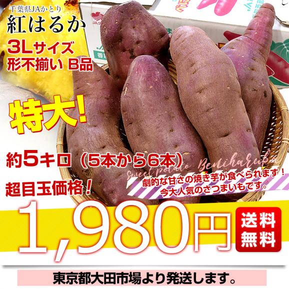 千葉県産 JAかとり 紅はるか B品 3Lサイズ 約5キロ(5～6本) 送料無料 さつまいも サツマイモ 薩摩芋 新芋 市場発送03