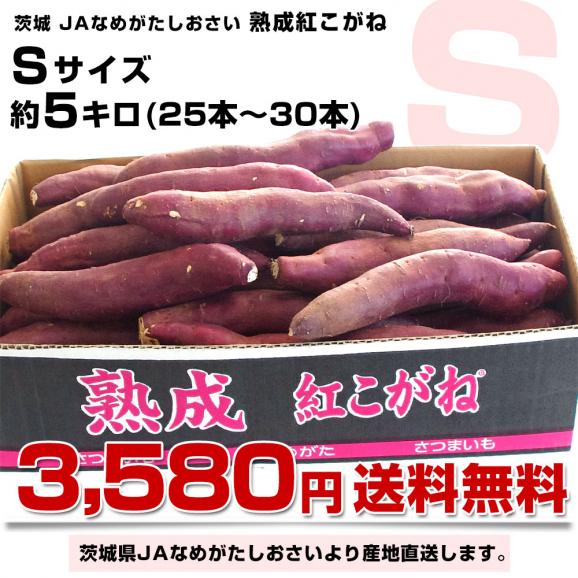 茨城県より産地直送 JAなめがたしおさい さつまいも「熟成紅こがね」 Sサイズ 約5キロ（25本から30本） 送料無料 行方 薩摩芋03