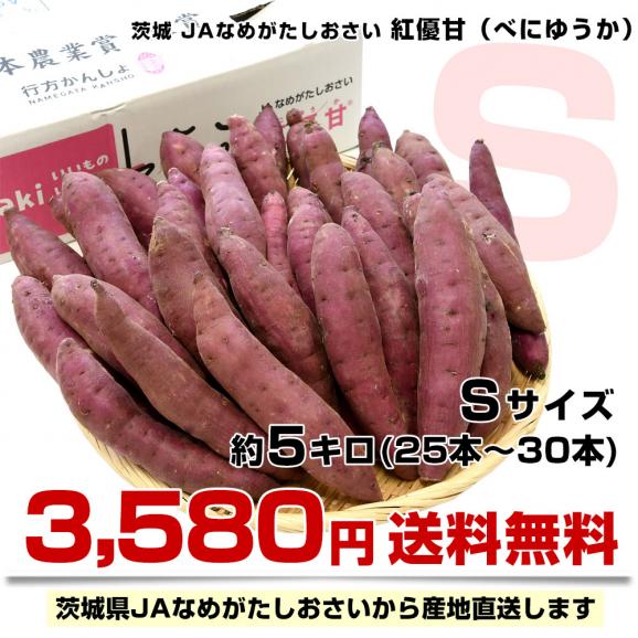 茨城県より産地直送 JAなめがたしおさい さつまいも「紅優甘 (べにゆうか)」 Sサイズ 5キロ(25本から30本) 送料無料 さつま芋 サツマイモ 薩摩芋03