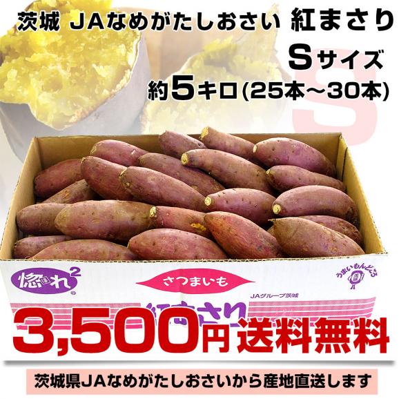 茨城県より産地直送 JAなめがた さつまいも「紅まさり(べにまさり)」 Sサイズ 約5キロ(25本から30本前後） 送料無料 さつま芋 サツマイモ 薩摩芋03