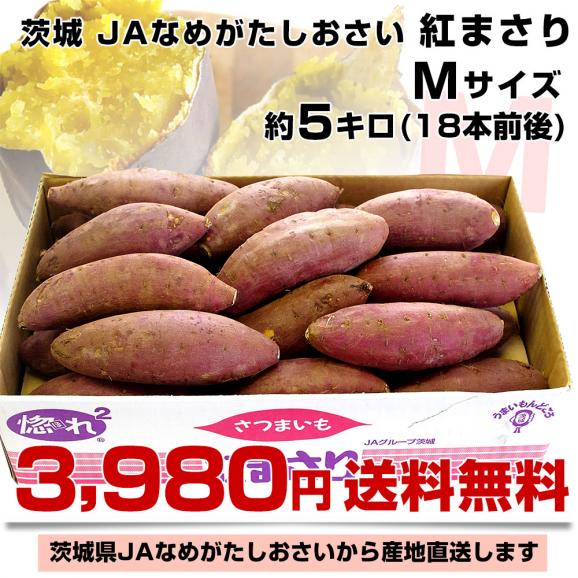 茨城県より産地直送 JAなめがた さつまいも「紅まさり(べにまさり)」 Mサイズ 約5キロ(18本前後） 送料無料 さつま芋 サツマイモ 薩摩芋03