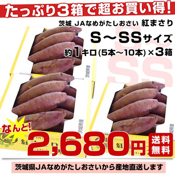 茨城県より産地直送 JAなめがた さつまいも「紅まさり(べにまさり)」 SからSSサイズ 約1キロ×3箱セット 送料無料 さつま芋 サツマイモ 薩摩芋03