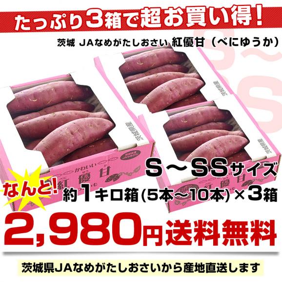 茨城県より産地直送 JAなめがたしおさい さつまいも「紅優甘 (べにゆうか)」 SからSSサイズ 1キロ×3箱セット 送料無料 さつま芋 サツマイモ 薩摩芋03