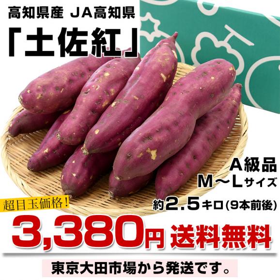 高知県産 JA高知県 土佐紅 A級品MからLサイズ2.5キロ 9本前後 送料無料　とさべに さつまいも サツマイモ 薩摩芋 新芋 市場発送03