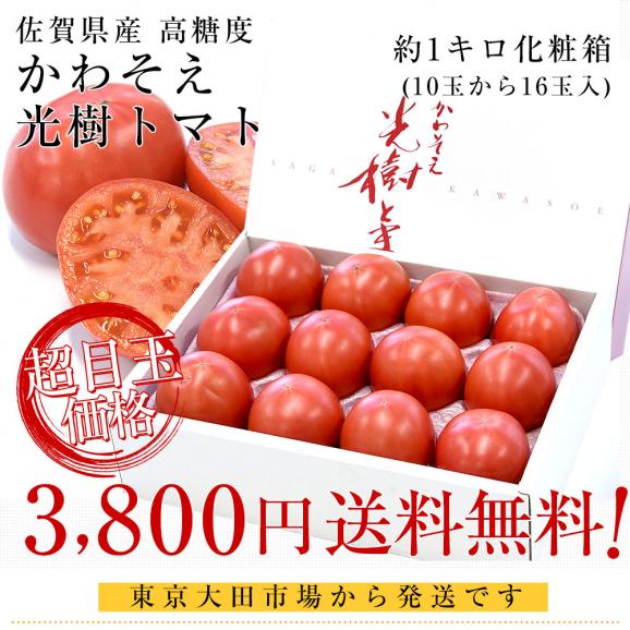 佐賀県産 高糖度 かわそえ光樹トマト 約1キロ化粧箱入 （10玉から16玉入） 送料無料 市場発送03