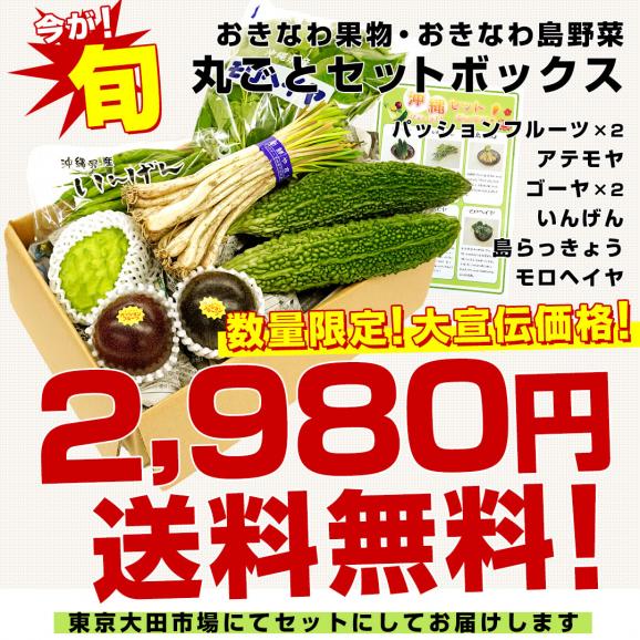 おきなわ果物・おきなわ島野菜　丸ごと　セットボックス！（パッションフルーツ2個・アテモヤ・ゴーヤ2本・さやいんげん・島らっきょ・モロヘイヤ）03