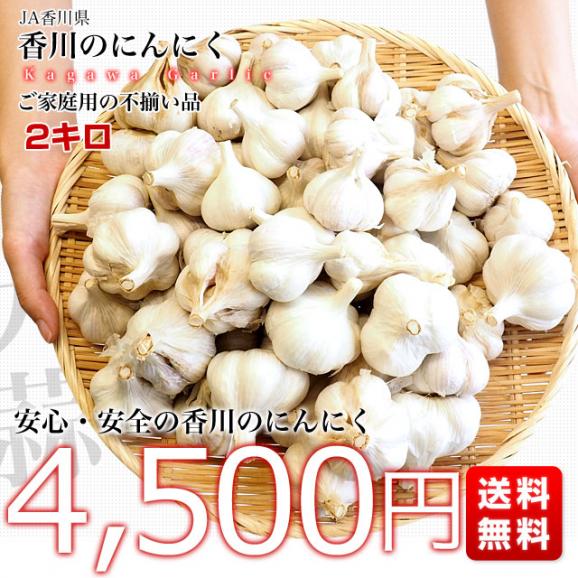 香川県から産地直送 JA香川県 ニンニク ご家庭用 約2キロ (目安として50玉前後) 送料無料  香川にんにく 大蒜 葫 讃岐 さぬき03