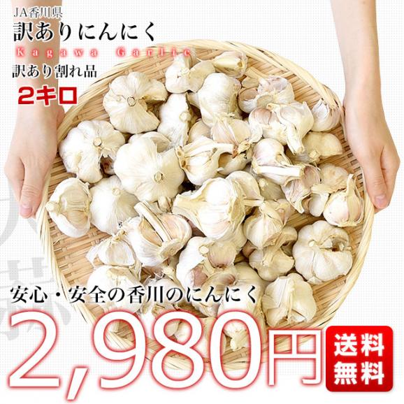 香川県から産地直送 JA香川県 訳ありニンニク 不揃い割れ品 約2キロ 送料無料 香川にんにく 大蒜 葫03