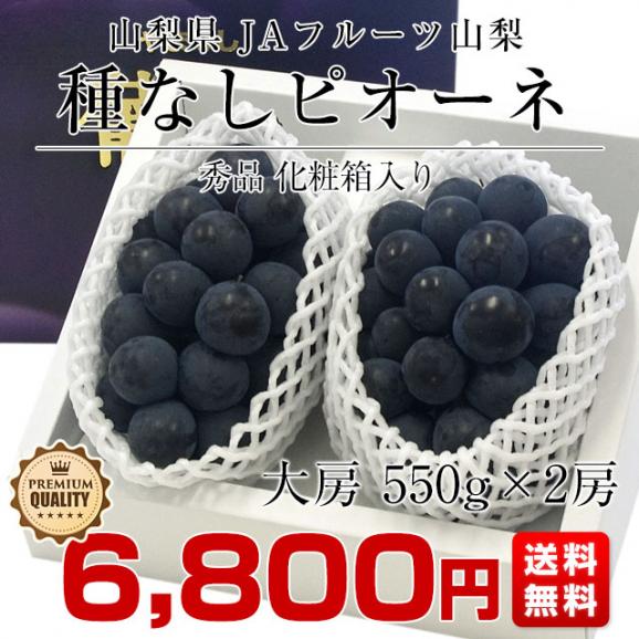 山梨県より産地直送 JAフルーツ山梨 種なしピオーネ 秀品 大房2房入り 化粧箱 (約550g ×2房) 送料無料 葡萄 ぶどう お中元 夏ギフト03