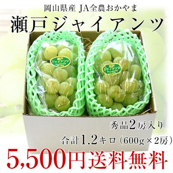  JA全農おかやま協賛 岡山県産 瀬戸ジャイアンツ 青秀2房合計1.2キロ(600g×2房）送料無料03