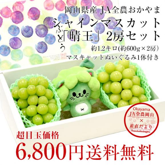 岡山県産 シャインマスカット「晴王」2房セット 約1.2キロ(約600g×2房）＋マスキャット（ぬいぐるみ）のおまけ付 送料無料 市場発送 ブドウ ぶどう 葡萄 クール便03