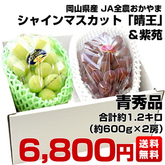 JA全農おかやま協賛 岡山県産 シャインマスカット「晴王」＆紫苑セット 青秀品 (約600g×2房）送料無料 市場発送　クール便　葡萄　ぶどう　はれおう　しえん03