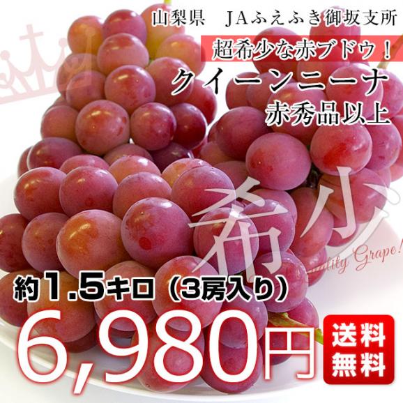 山梨県産 JAふえふき 御坂支所 クイーンニーナ 赤秀品以上 約1.5キロ（3房入り）送料無料　赤ぶどう 葡萄 種なしぶどう クール便 市場発送03