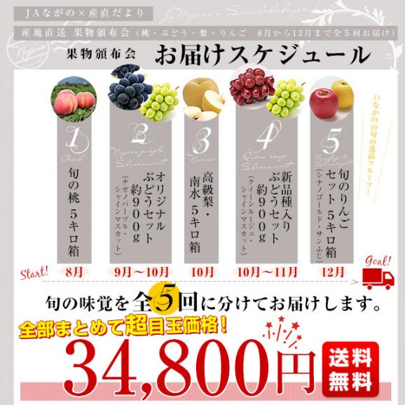 JAながの 産地直送　果実頒布会（桃・ぶどう・梨・りんご　8月から12月まで５回お届け）03