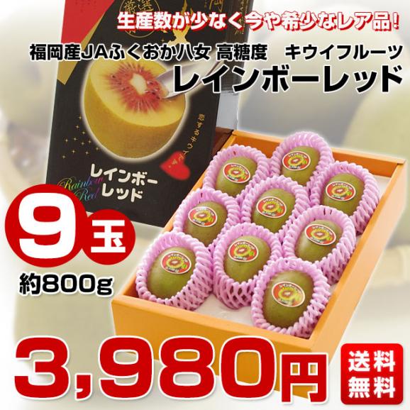 福岡県JAふくおか八女 レインボーレッドキウイ 約800g(9玉入) キウイフルーツ キウィ03