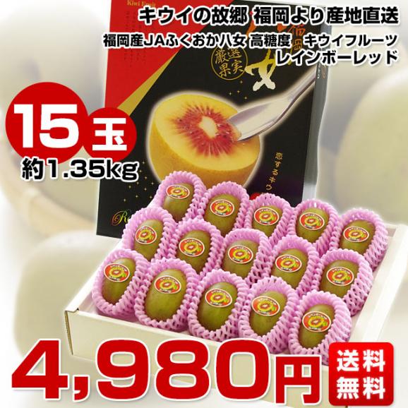 福岡県より産地直送 JAふくおか八女 レインボーレッドキウイ 約1.35キロ(15玉入) 送料無料 キウイフルーツ キウィ03