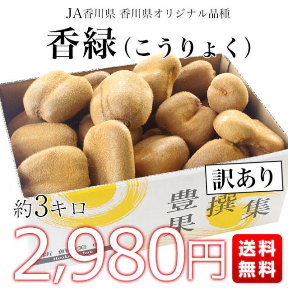 香川県より産地直送 JA香川県 キウイフルーツ 香緑(こうりょく) 　訳あり品　約3キロ　(15から30玉前後) 送料無料03
