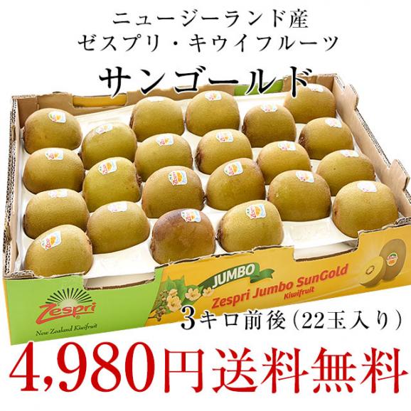 ニュージーランド産 ゼスプリキウイフルーツ サンゴールドキウイ 大玉 ３キロ (22玉入り) 送料無料03