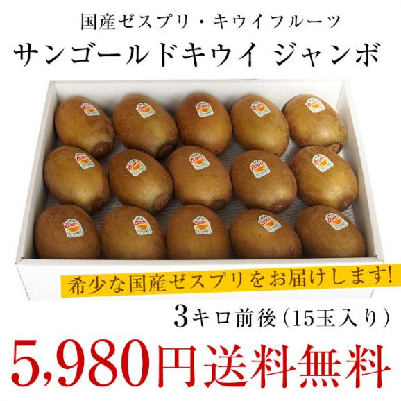 国産 ゼスプリ・キウイフルーツ サンゴールドキウイ ジャンボ 15玉入り化粧箱 (3キロ前後) 送料無料 市場発送03