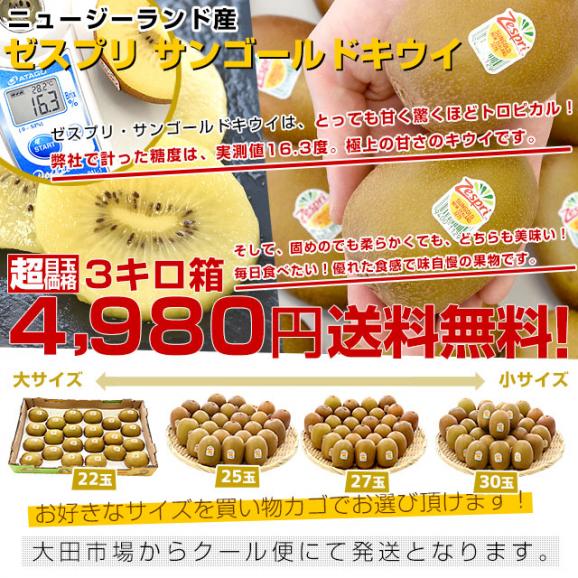 ニュージーランド産 ゼスプリ・サンゴールドキウイ 3キロ 送料無料 クール便 キウイフルーツ ゴールドキウイ 完熟キウイ03