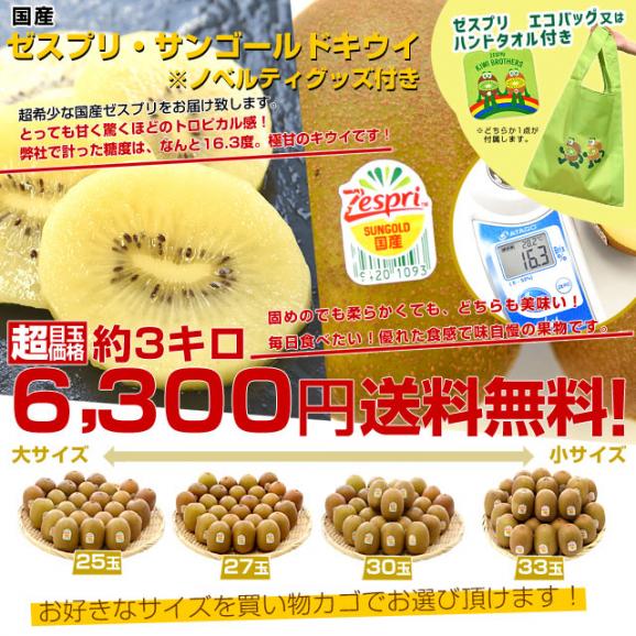 国産 ゼスプリ・サンゴールドキウイ 約3キロ ※ゼスプリ エコバッグ又はハンドタオル付き　送料無料　キウイフルーツ03