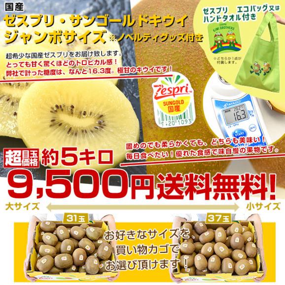 国産 ゼスプリ・サンゴールドキウイ「ジャンボサイズ」 約5キロ ※ゼスプリ エコバッグ又はハンドタオル付き　送料無料　キウイフルーツ03