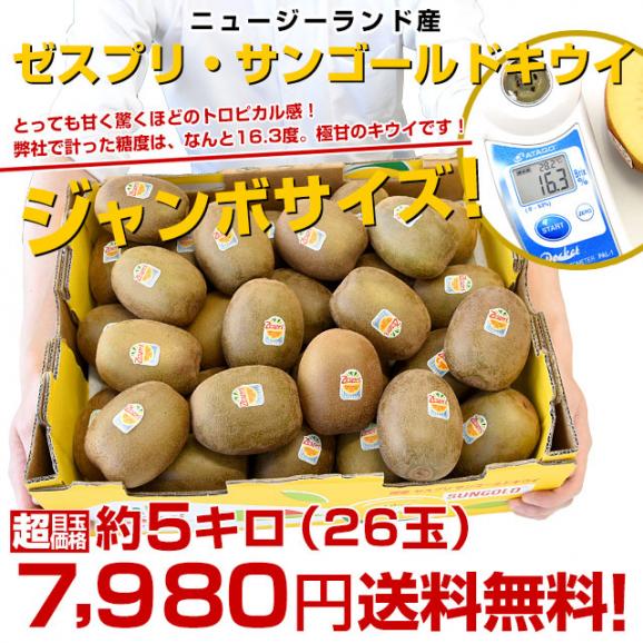 ニュージーランド産 ゼスプリ・サンゴールドキウイ「ジャンボサイズ」 約5キロ（26玉入り） 送料無料 キウイフルーツ03