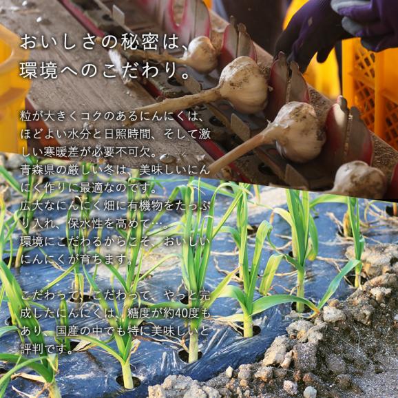 送料無料 青森県産 訳あり にんにく バラカケ 約500g 人気の福地ホワイト六片種03