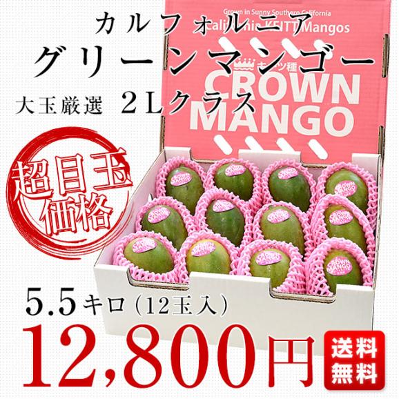 カリフォルニア　グリーンマンゴー（キーツマンゴー）大玉厳選２L　5.5キロ（12玉入）送料無料 クール便 マンゴー キーツマンゴー トロピカルフルーツ03