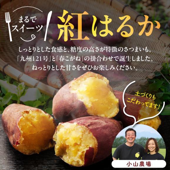 北海道十勝芽室町 なまら十勝野 芽室町産さつまいも【紅はるか】５㎏　me001-029c03