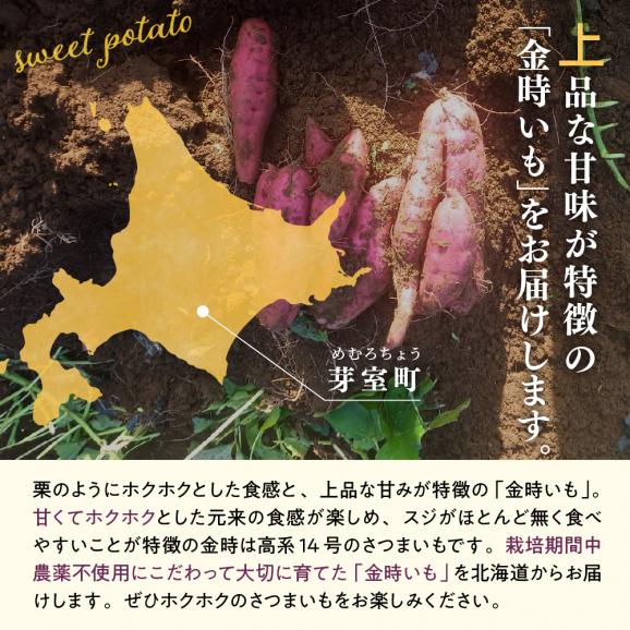 【2024年11月下旬より配送】北海道十勝芽室町産 有機JAS認証 鈴鹿農園 熟成さつまいも 金時いも 5kg（土付き）me049-012c03