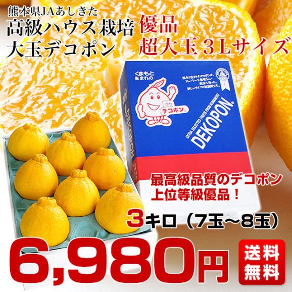 熊本県より産地直送 JAあしきた ハウス栽培 大玉デコポン （優品） 3キロ（7玉から8玉） 送料無料 でこぽん デコぽん 芦北 葦北03