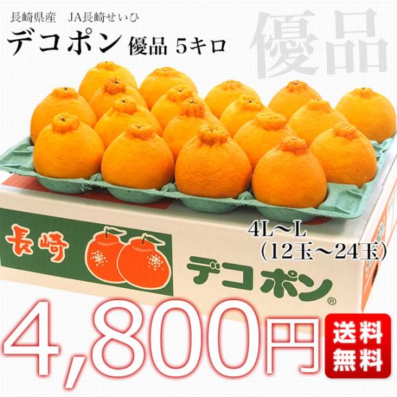 長崎県より産地直送 JA長崎せいひ デコポン 優品  4ＬからＬサイズ 5キロ (12玉から24玉) 送料無料 柑橘 かんきつ03
